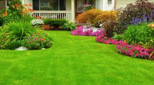 The Value of Personal Brand