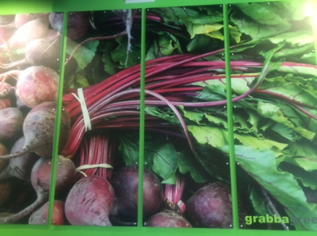 Optimal Nutrition for Beauty